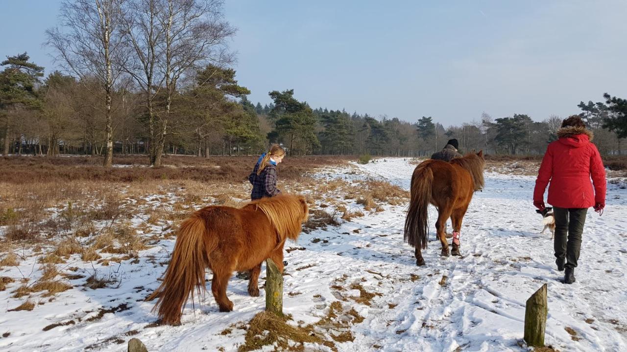 Chalet Op De Veluwe # Linde Putten Bagian luar foto