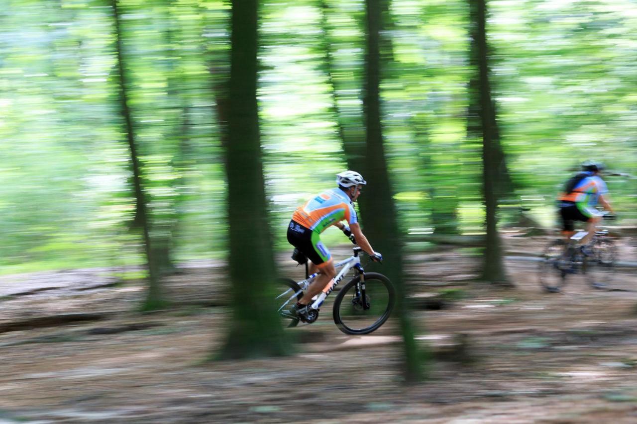Chalet Op De Veluwe # Linde Putten Bagian luar foto